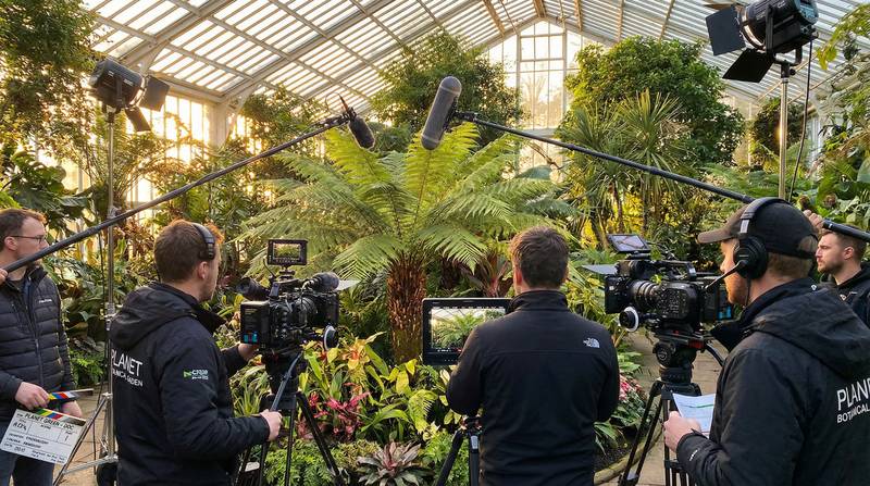 大象传媒植物视频-幕后花絮视频教程